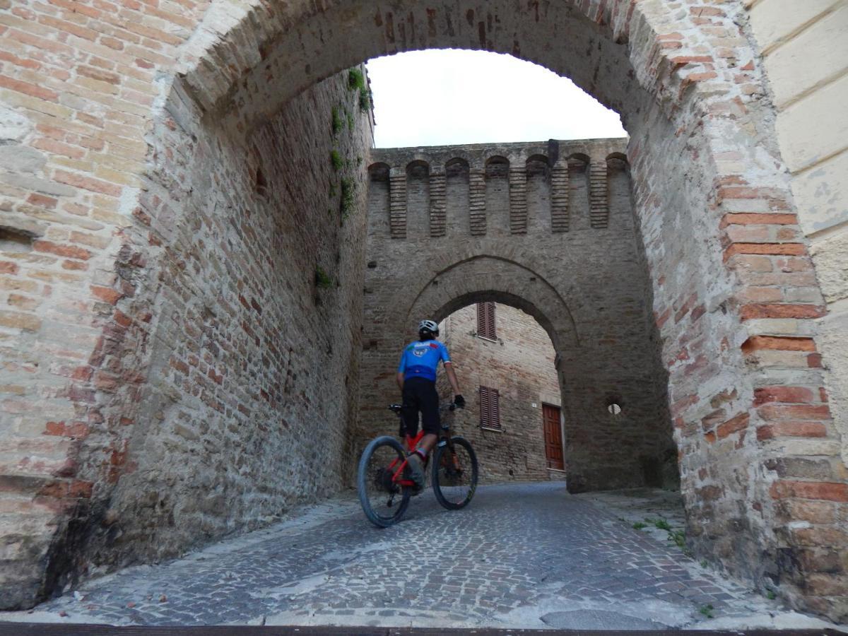 Recchi Franceschini Bike Hotel Last - Minute - Availability Montalto delle Marche Exteriér fotografie