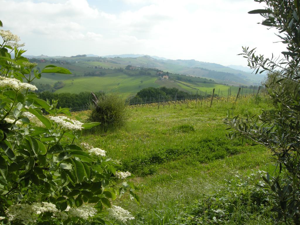 Recchi Franceschini Bike Hotel Last - Minute - Availability Montalto delle Marche Exteriér fotografie