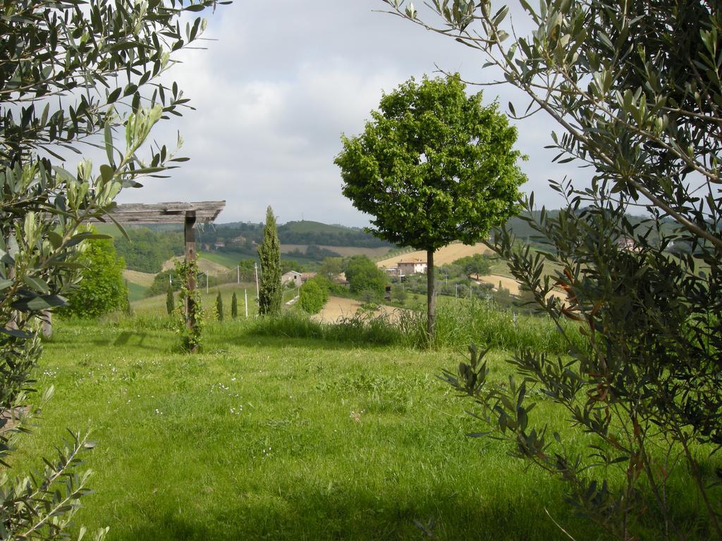 Recchi Franceschini Bike Hotel Last - Minute - Availability Montalto delle Marche Exteriér fotografie